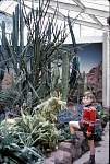 BotanicalGardensCactushouseJan67.jpg